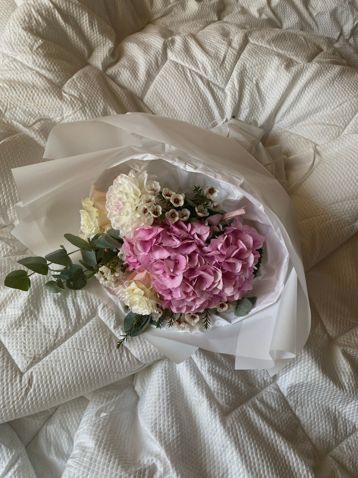 Hydrangea Flowers: Meaning, Colors, Care & Best Gifting Occasions